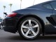 2007  Cayman  in , 