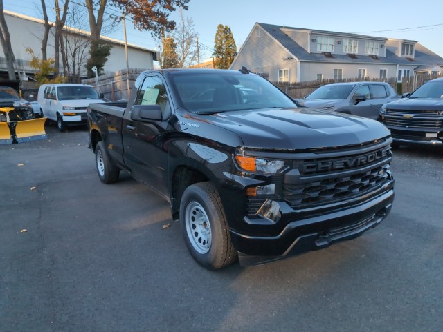 2025 Chevrolet Silverado 1500 Work Truck 3