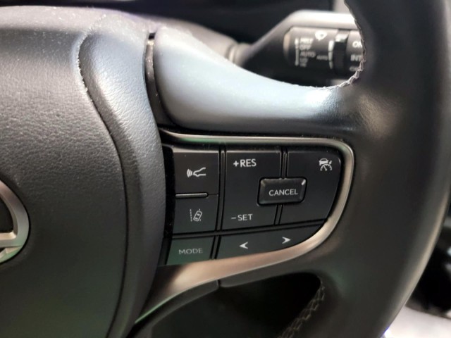 2021 Lexus UX UX 250h AWD 14