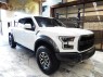 2018 Ford F-150 Raptor 4WD in Springfield, New Jersey