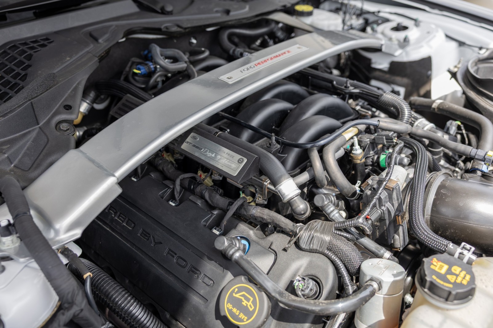 Used Car 2019 Ford Mustang  Shelby Gt350r For Sale Under $100,000 In Boerne, Texas