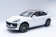 2025  Macan  in , 