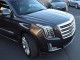 2017  Escalade Platinum in , 
