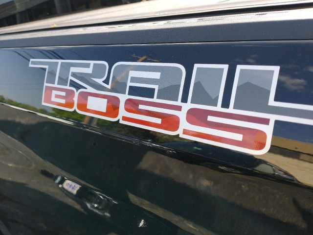 2024 Chevrolet Silverado 1500 Custom Trail Boss 8