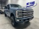 2023 Ford Super Duty F-250 SRW Platinum in , 