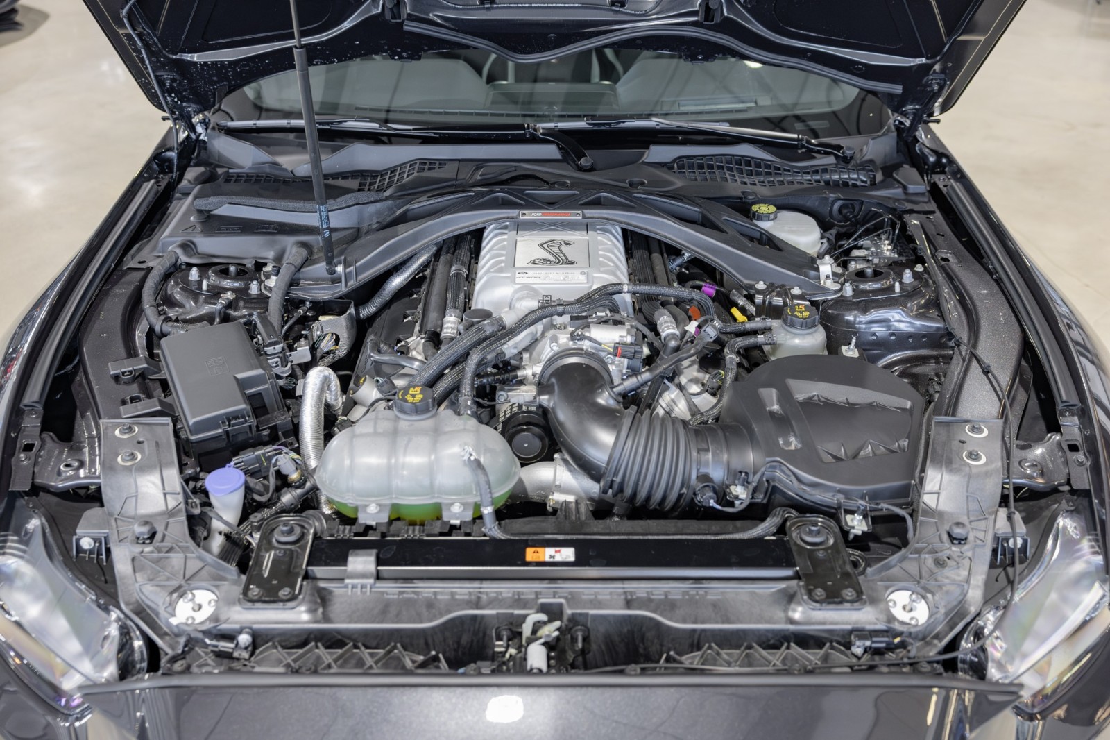 Used Car 2022 Ford Mustang  Shelby Gt500 For Sale Under $120,000 In Boerne, Texas