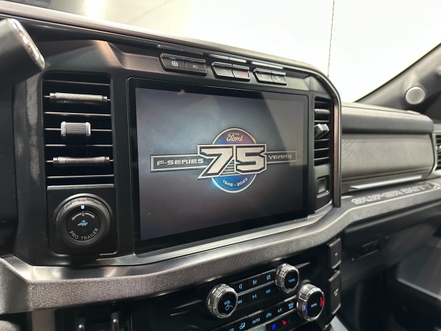 2023 Ford Super Duty F-250 SRW Platinum in , 