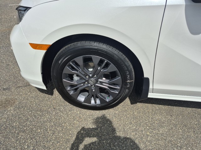 HondaOdyssey20