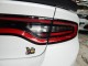 2021 Dodge Charger Scat Pack Widebody in Springfield, New Jersey
