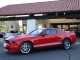 2008  Mustang Shelby GT500 in , 