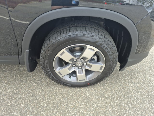 HondaRidgeline14
