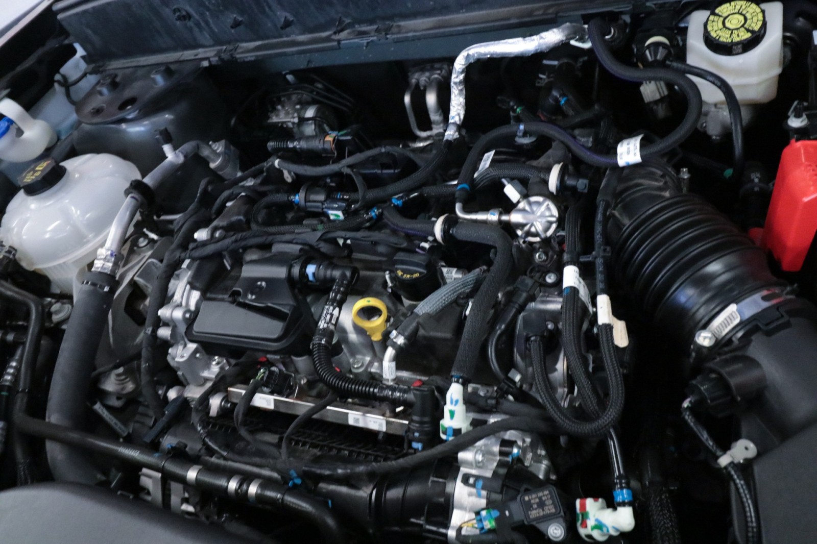 Used Car 2024 Ford Bronco Sport  Big Bend For Sale Under $30,000 In Austin, Texas