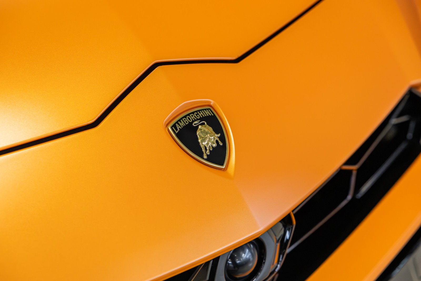 Used Car 2022 Lamborghini Urus - Full Stealth Ppf  For Sale Under $240,000 In Boerne, Texas