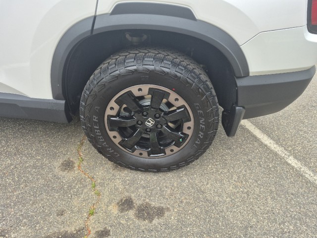 HondaPassport19