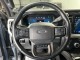2023 Ford Super Duty F-250 SRW Platinum in , 