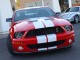 2008  Mustang Shelby GT500 in , 