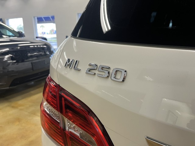 2015 Mercedes-Benz M-Class ML 250 BlueTEC 10