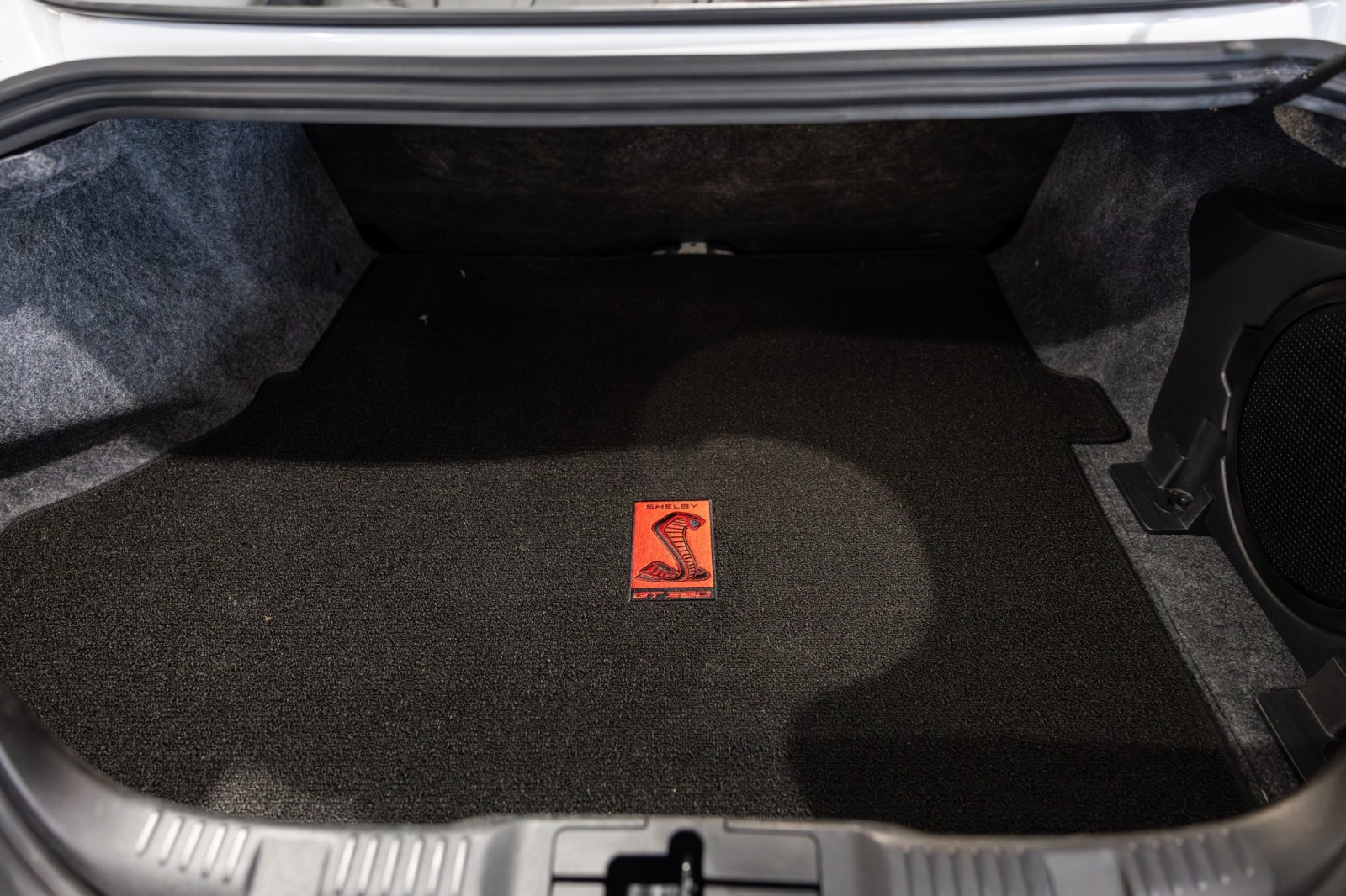 Used Car 2019 Ford Mustang  Shelby Gt350r For Sale Under $100,000 In Boerne, Texas