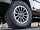2024  Grenadier Station Wagon Fieldmaster Edition in , 