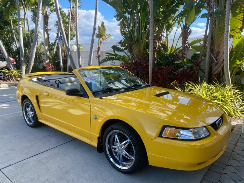 1999 Ford Mustang GT LOW MILES 8,145 1 OWNER FL CONV in , 
