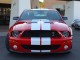 2008  Mustang Shelby GT500 in , 