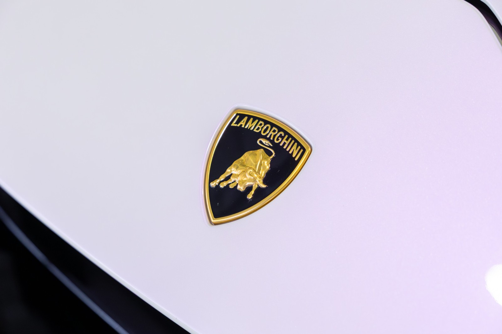 Used Car 2024 Lamborghini Huracan Tecnica  For Sale Under $380,000 In Boerne, Texas