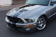 2008  Mustang Shelby GT500 in , 