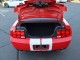 2008  Mustang Shelby GT500 in , 