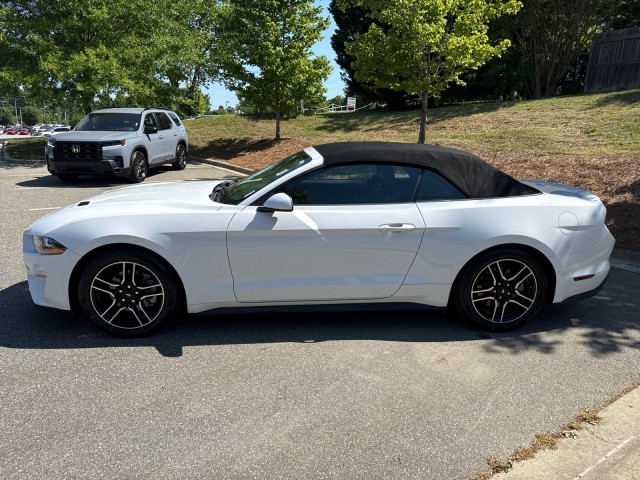 FordMustang4