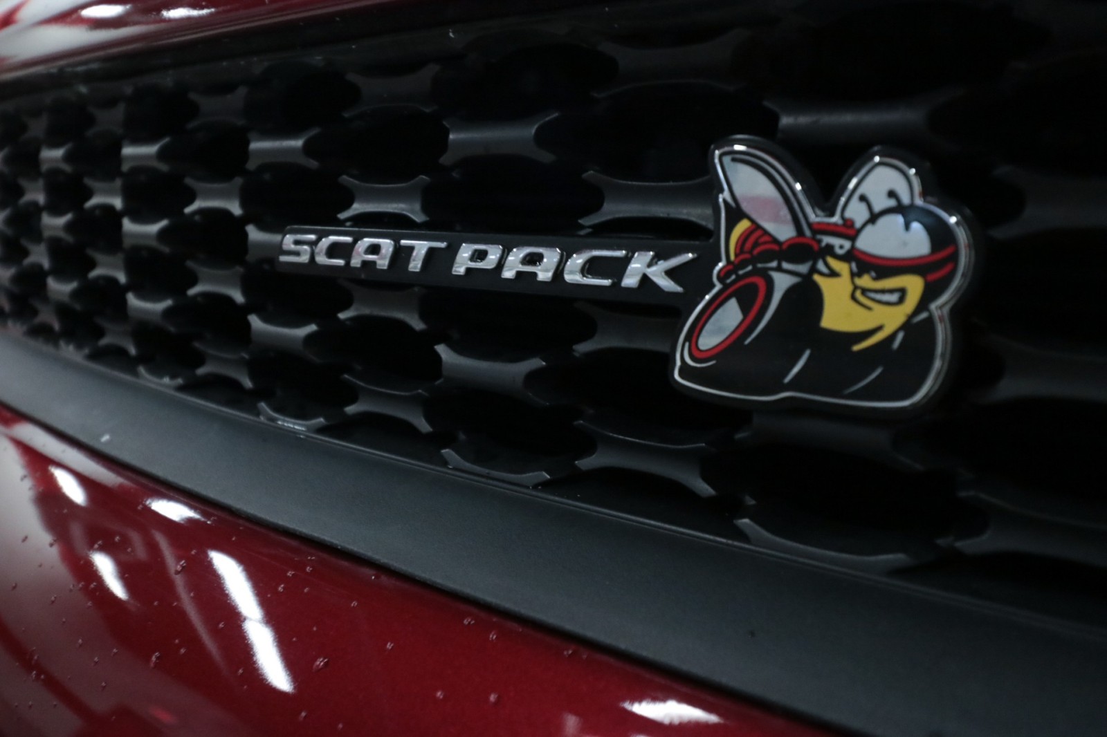 Used Car 2023 Dodge Charger  Scat Pack For Sale Under $50,000 In Austin, Texas