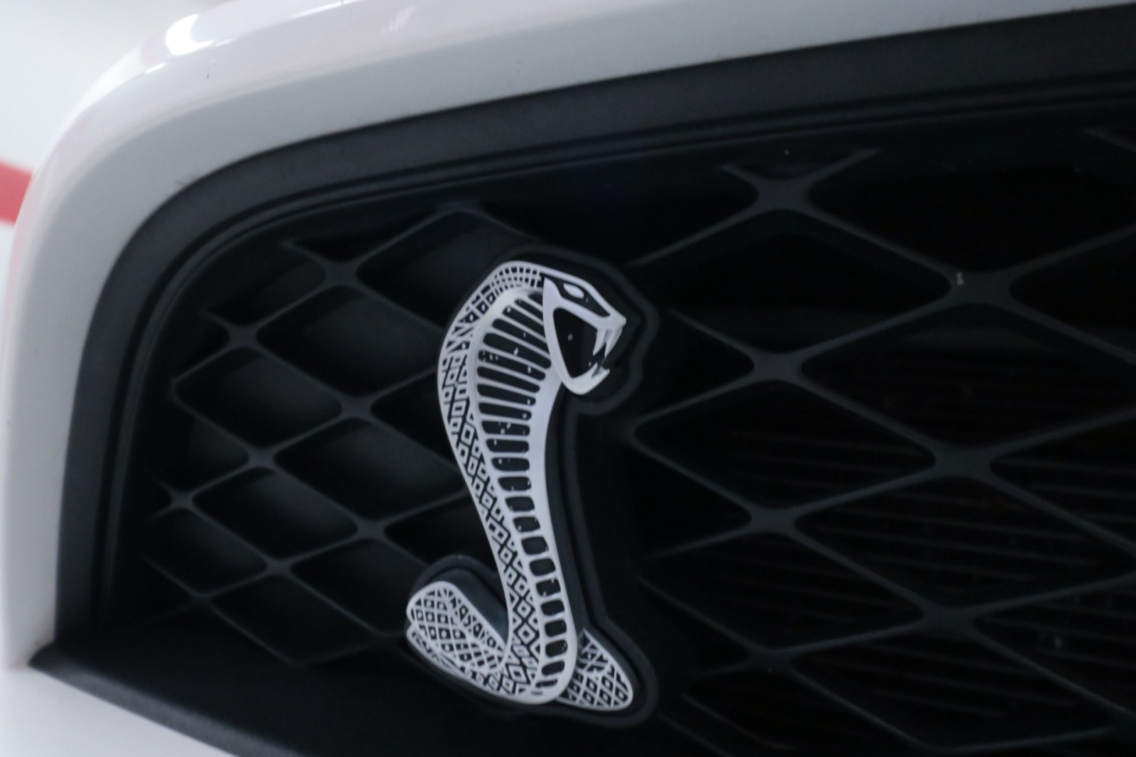 Used Car 2012 Ford Mustang  Shelby Gt500 For Sale Under $50,000 In Austin, Texas