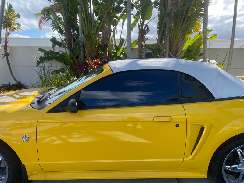 1999 Ford Mustang GT LOW MILES 8,145 1 OWNER FL CONV in , 