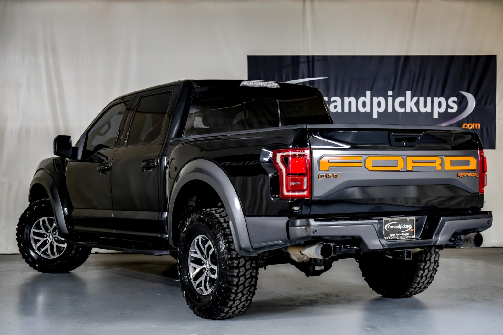 2017 Ford F-150 Raptor 10