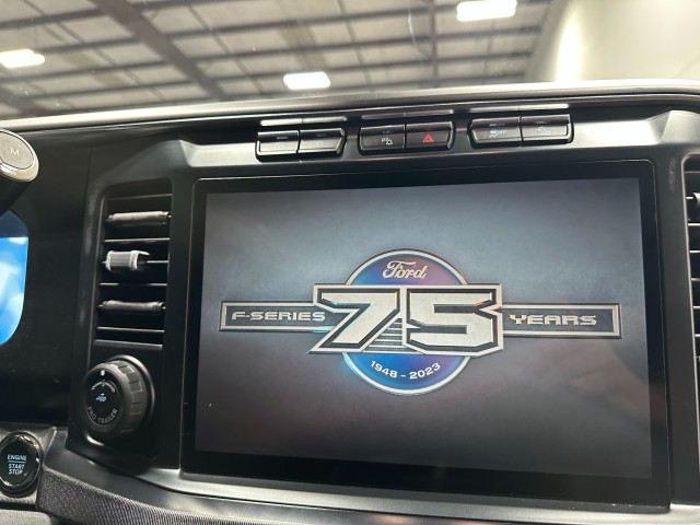 2023 Ford Super Duty F-250 SRW Platinum in , 