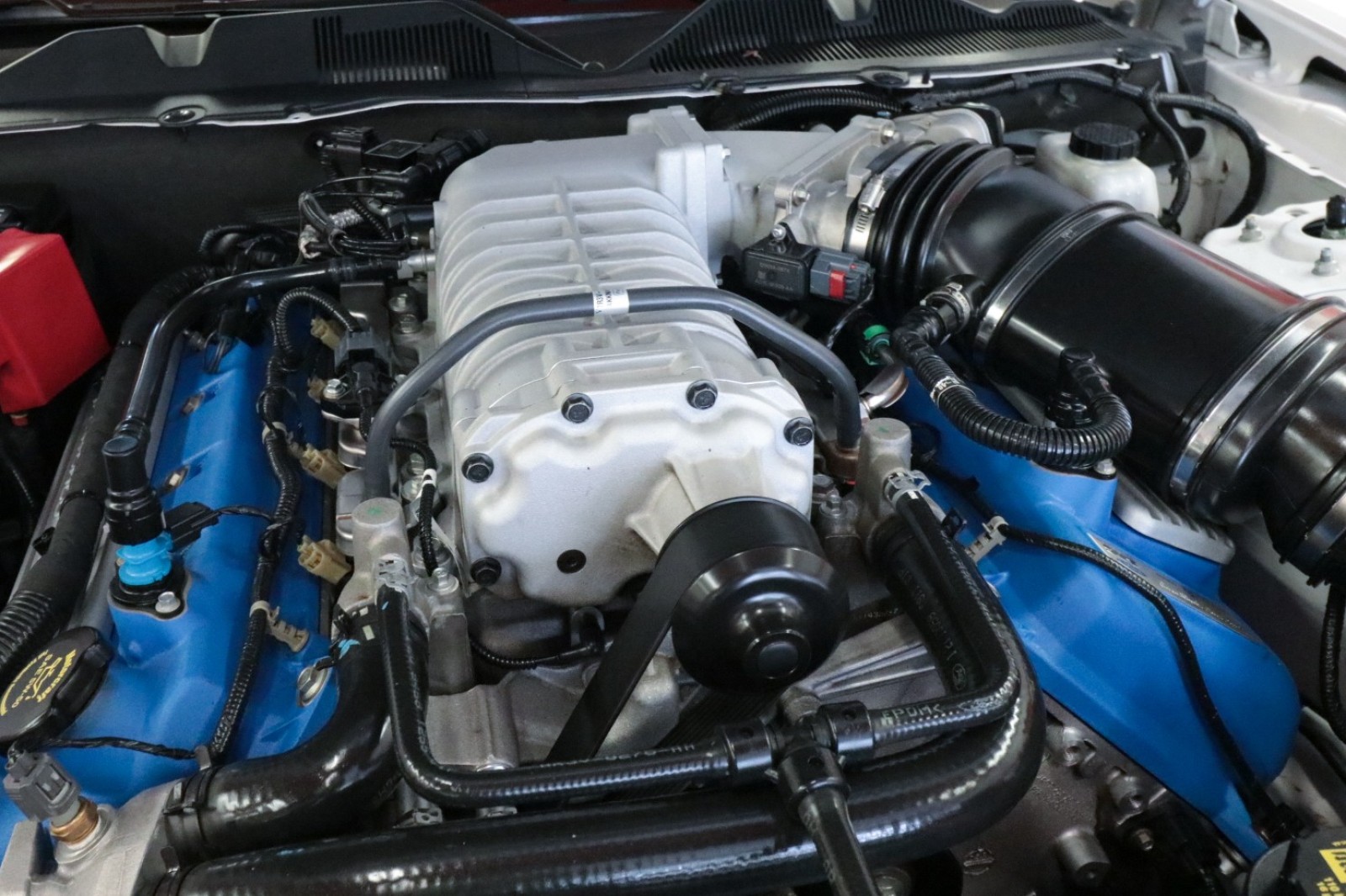 Used Car 2012 Ford Mustang  Shelby Gt500 For Sale Under $50,000 In Austin, Texas