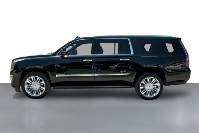 2019 Cadillac Escalade ESV Platinum 10