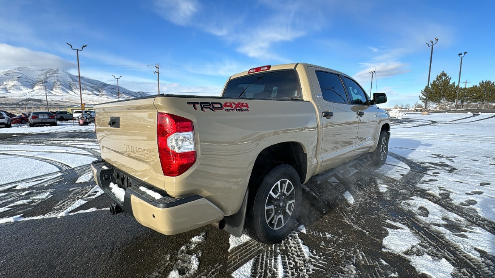 2019 Toyota Tundra 4WD TRD Pro 4