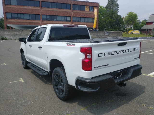 2024 Chevrolet Silverado 1500 Custom Trail Boss 15