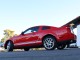 2008  Mustang Shelby GT500 in , 