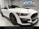 2020  Mustang Shelby GT500 Carbon Fiber Track Package in , 