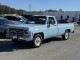 1977 Chevrolet Silverado C20 in , 