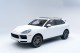 2019  Cayenne S in , 