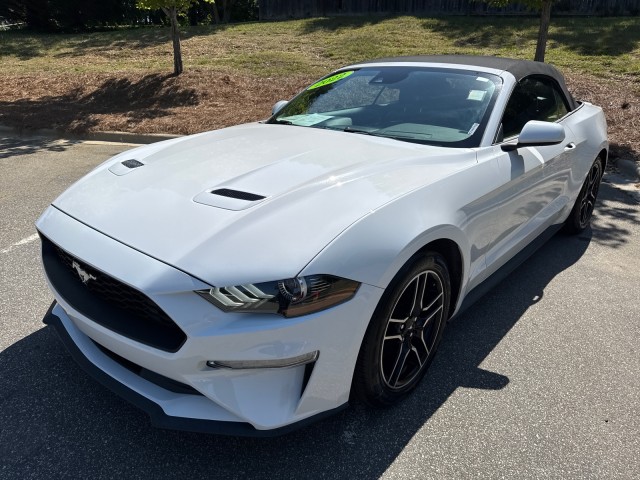 FordMustang3