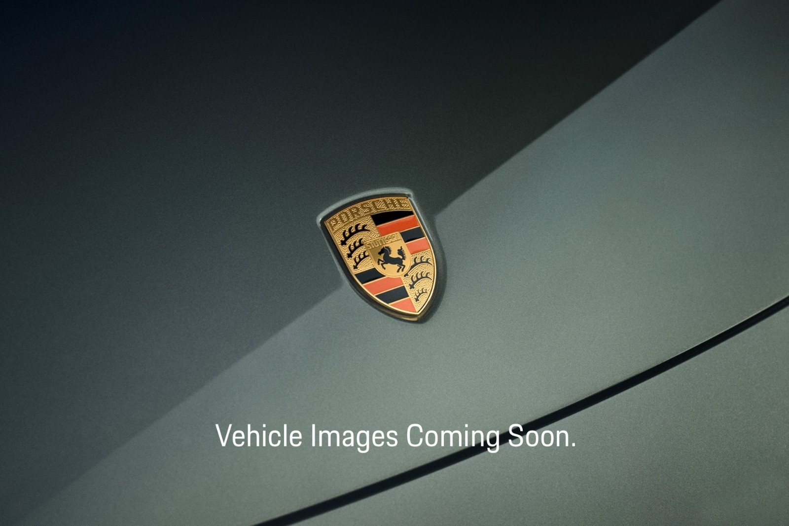 New 2026 Oak Green Metallic Neo Porsche Electric image 14