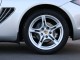 2009  Cayman  in , 