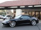 2013  911 Carrera in , 