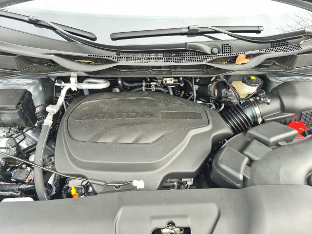HondaOdyssey20