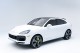 2022  Cayenne Turbo S E-Hybrid Coupe in , 