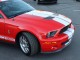 2008  Mustang Shelby GT500 in , 