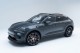 2025  Macan 4S Electric in , 